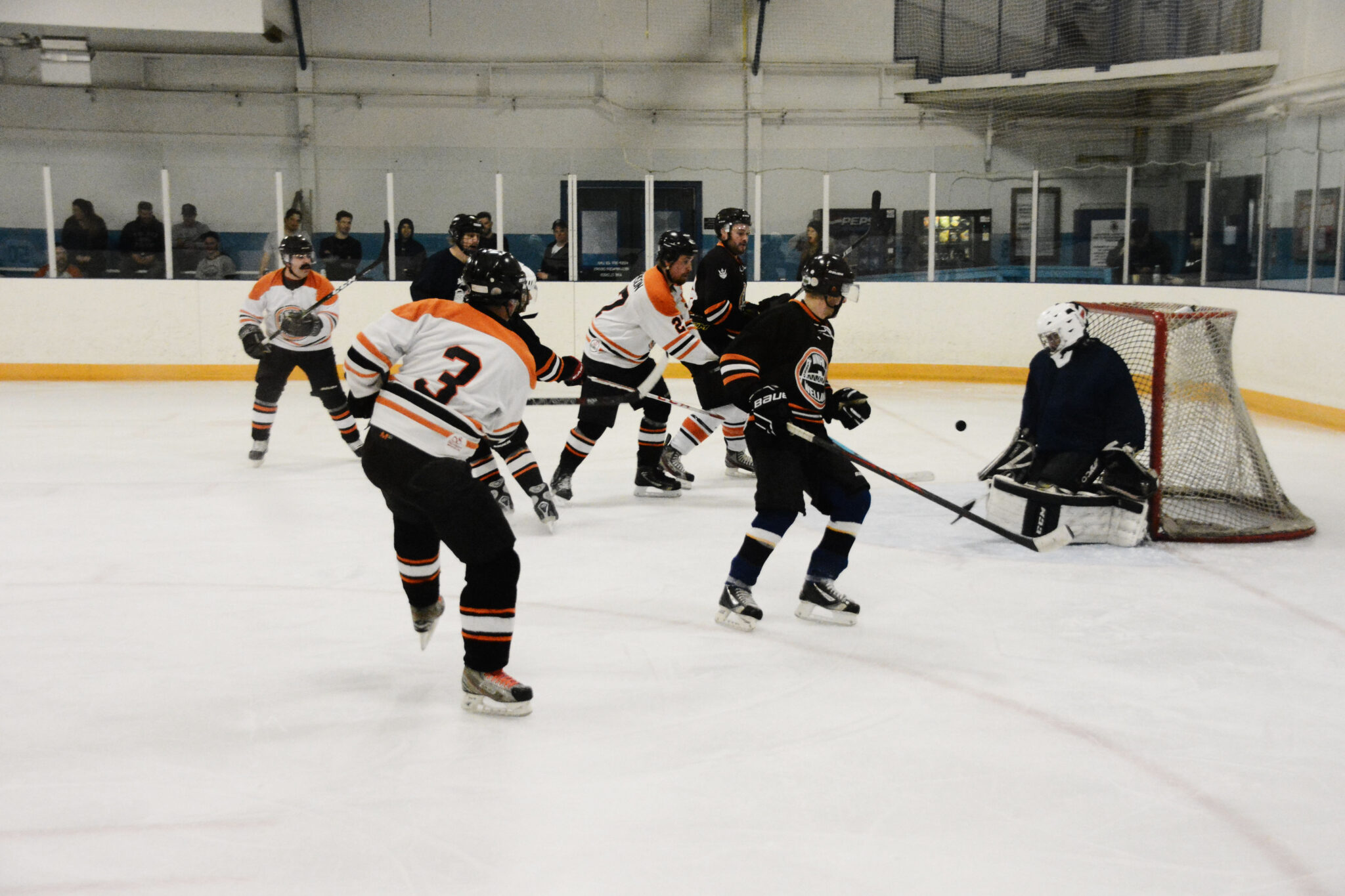 WNHL The Champagne of Beer Leagues
